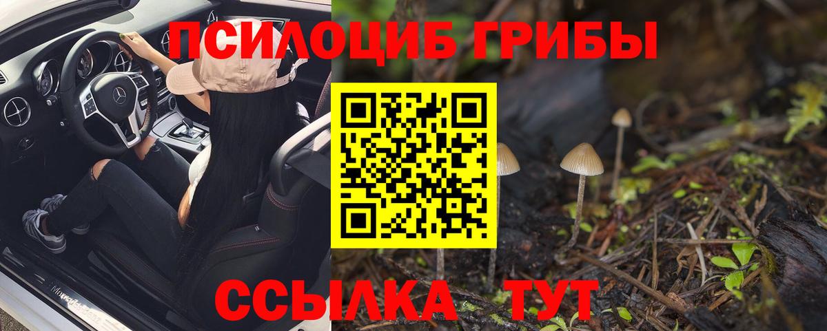Галлюциногенные грибы Cubensis  Вход с VPN  Усолье-Сибирское 